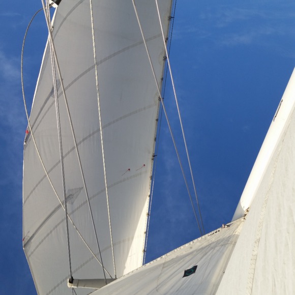 Meet your Posher, Rick - Picture 1 of 1